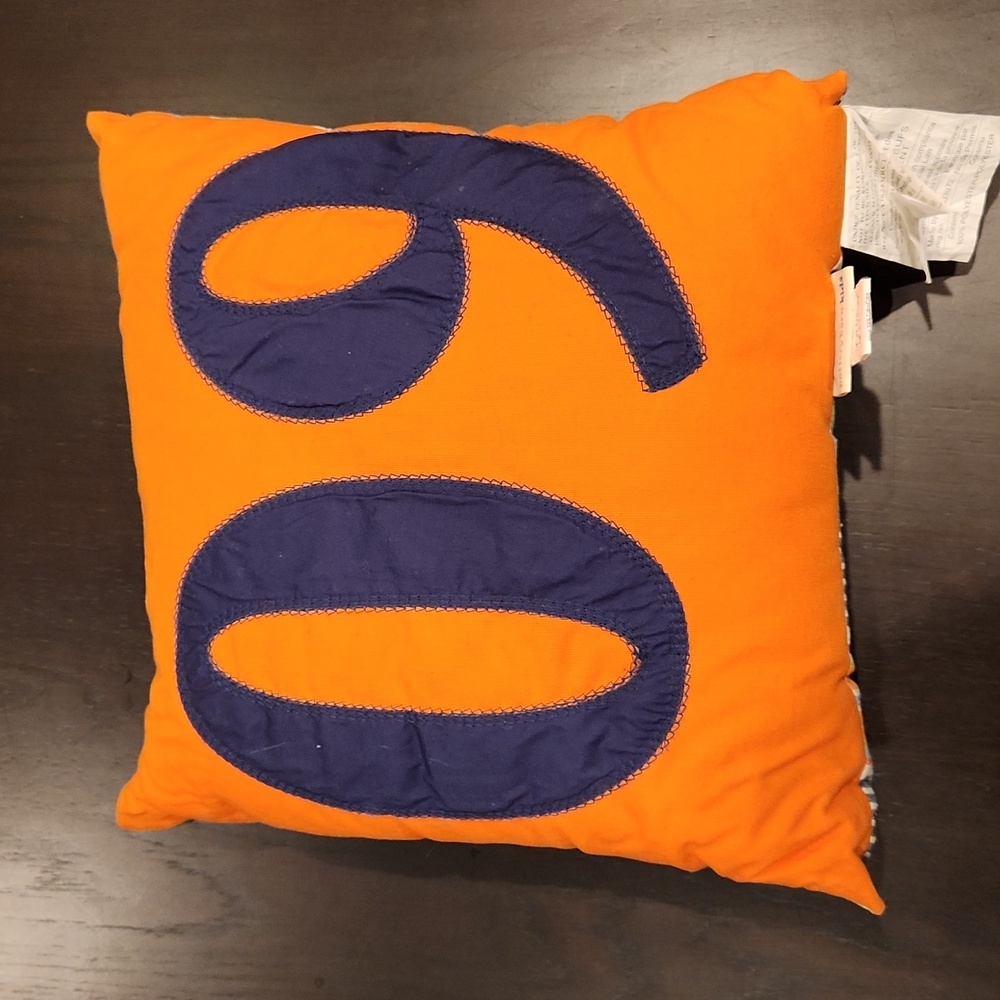 Pottery Barn Kids 14x14 Decorative Pillow